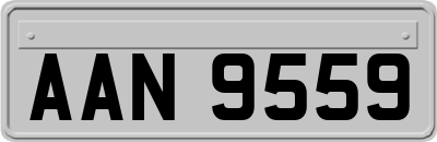 AAN9559