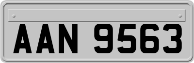 AAN9563