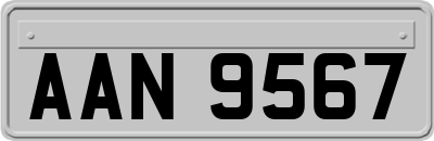 AAN9567