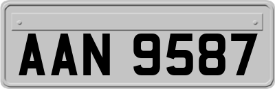AAN9587