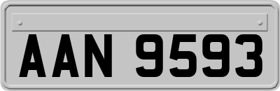 AAN9593
