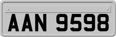 AAN9598
