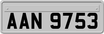 AAN9753