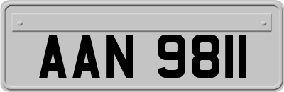 AAN9811