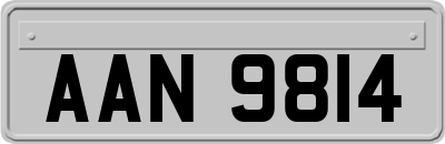 AAN9814