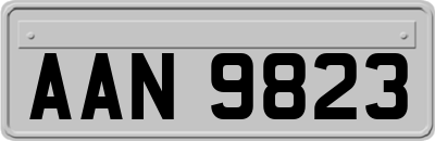AAN9823