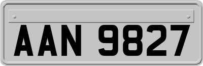 AAN9827