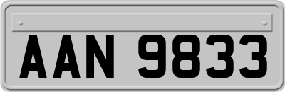 AAN9833
