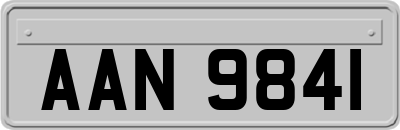 AAN9841