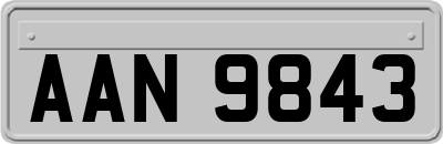 AAN9843