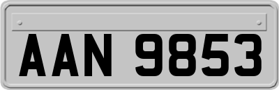 AAN9853
