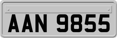 AAN9855