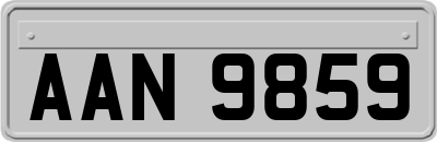 AAN9859