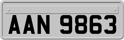 AAN9863