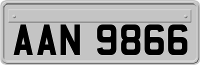 AAN9866