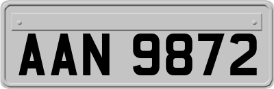 AAN9872