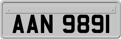 AAN9891