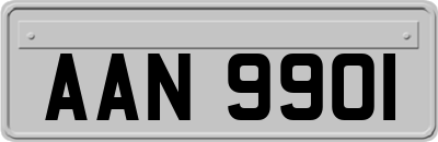 AAN9901