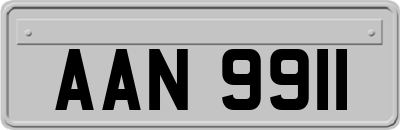 AAN9911