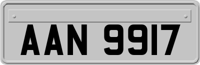 AAN9917