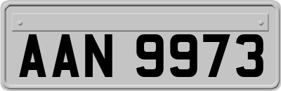 AAN9973