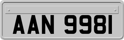AAN9981