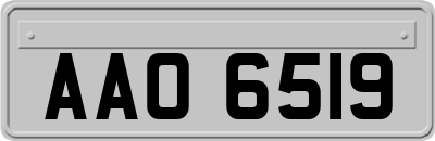 AAO6519