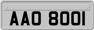 AAO8001