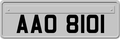 AAO8101