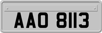 AAO8113