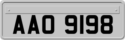 AAO9198