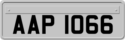 AAP1066