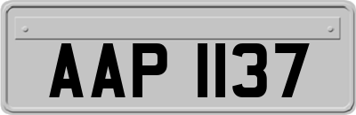 AAP1137