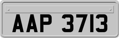 AAP3713