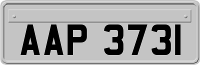 AAP3731