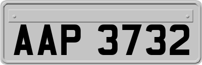 AAP3732