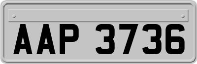 AAP3736