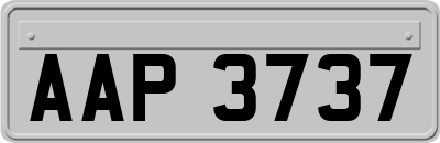 AAP3737