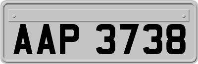 AAP3738