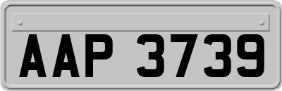 AAP3739