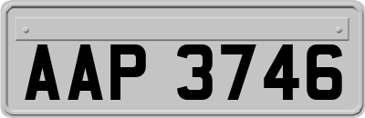 AAP3746