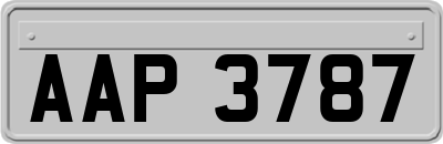 AAP3787