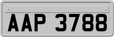 AAP3788