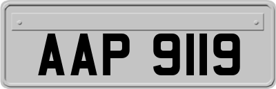 AAP9119