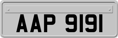 AAP9191