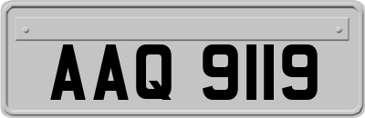 AAQ9119