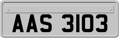 AAS3103
