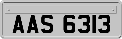 AAS6313