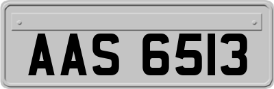 AAS6513