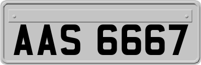 AAS6667